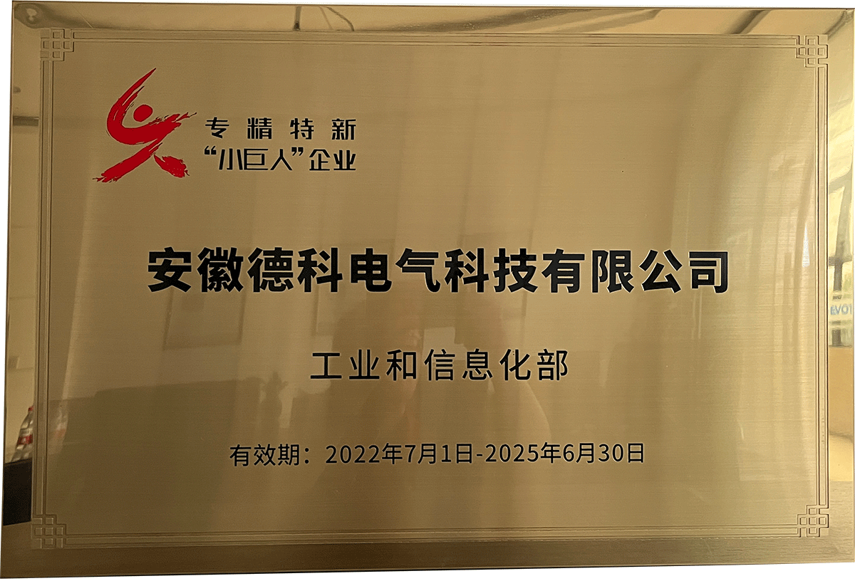 專精特新“小巨人”企業(yè)20250630